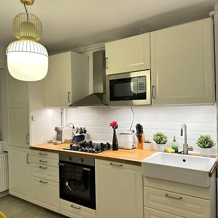 Simba Apartman Temesvár