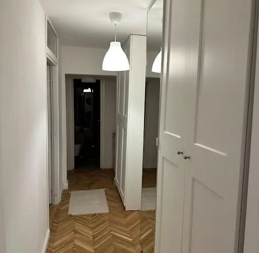 Simba Apartment Timisoara