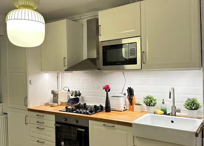 Simba Apartment Timisoara